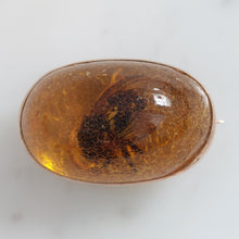 Load image into Gallery viewer, Amber Bug Brooch in 9ct Yellow Gold
