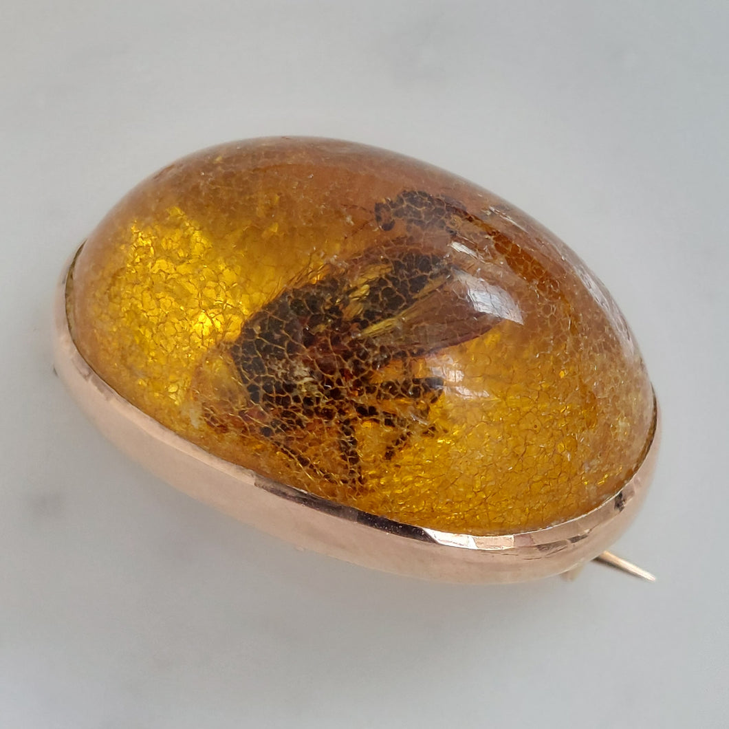Amber Bug Brooch in 9ct Yellow Gold